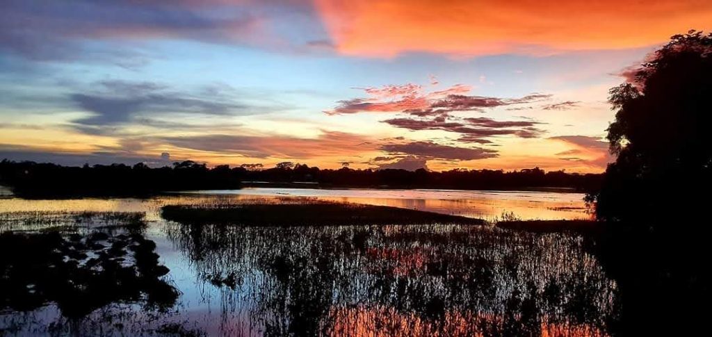 Environmental Education: Why is it important?